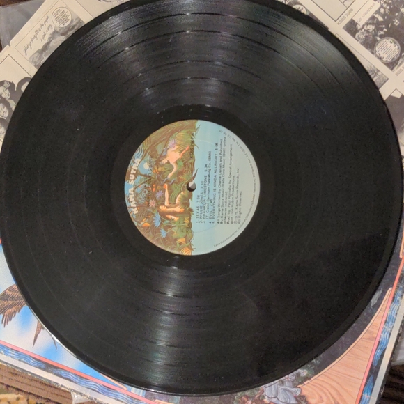 The Charlie Daniels Band 1975 LP Nightrider - Picture 11 of 11